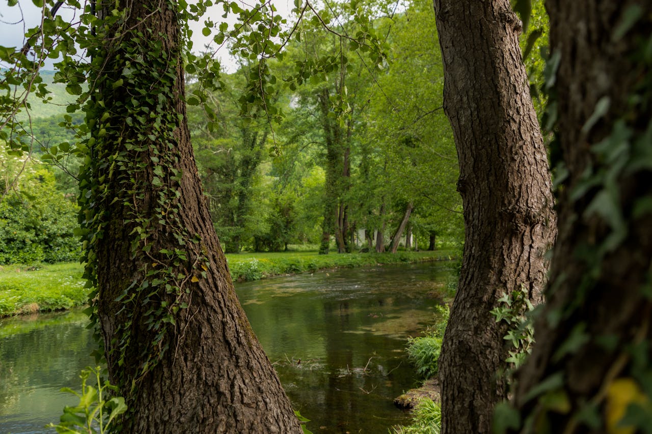 Pilarka łańcuchowa STIHL – moc i precyzja w Twoich rękach
